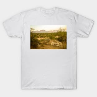 Rajasthan Sunset T-Shirt